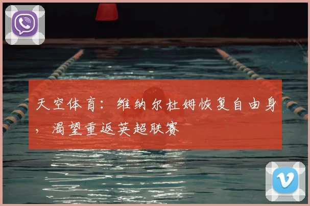 天空体育：维纳尔杜姆恢复自由身，渴望重返英超联赛